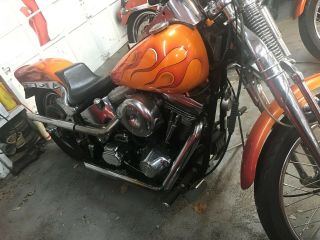 1989 Harley - Davidson Softail