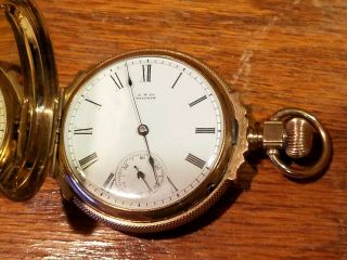 1886 A.  W.  Co Waltham 14k Seaside Size 6 Ladies Pocket Watch Hunt Case