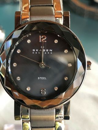 Skagen Denmark Designs Ltd Ladies Brown Stainless Steel Watch 457smsx B