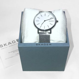 Skagen Signature Silver - Tone Stainless Steel Mesh Watch 38mm Skw2785 Nwt