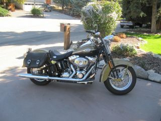 2007 Harley - Davidson Flstsc