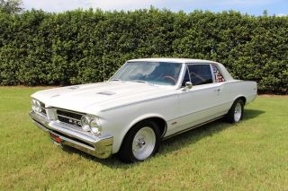 1964 Pontiac Le Mans Gto 455 4 Speed 2 Door Coupe 100,  Hd Pictures
