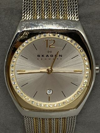 Skagen Skw2248 Womens Silver Dial Stainless Steel Analog Wrist Watch Ee229