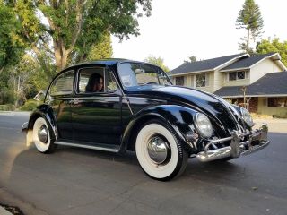 1965 Volkswagen Beetle - Classic Deluxe