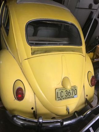 1963 Volkswagen Beetle - Classic 3