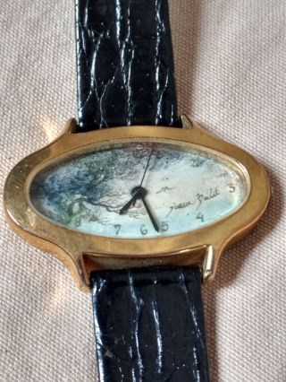 Cenere 8010 Wrist Watch Oval Face Artist Painting VTG Stainless Steel Shower 3
