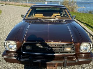 1977 Ford Mustang 6