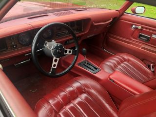 1977 Pontiac Firebird 6