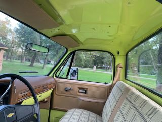 1977 Chevrolet Other Pickups 14