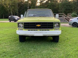 1977 Chevrolet Other Pickups 2