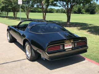 1977 Pontiac Trans Am Y82 Special Edition 8