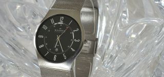Skagen Mens 233xlssb Silver - Tone Black Dial Watch W/date (31)