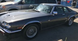 1989 Jaguar Xjs