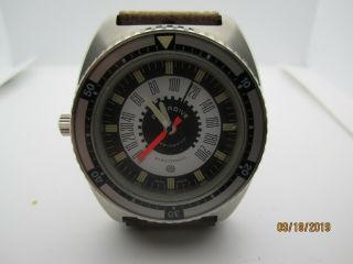 Aquadivetime - Depth 50 Wristwatch