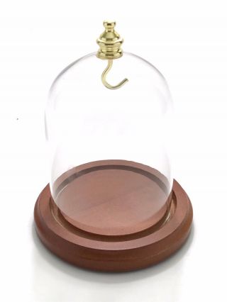 3 " X 4 " Glass Display Dome With Brass Knob,  Walnut Finish Base,