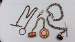 Antique Vintage Albert Pocket Watch Chains & Associated Tigers Eye Etc