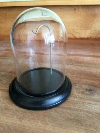 Pocket Watch Glass Dome Display Case