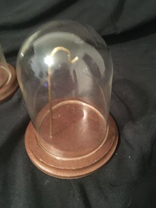 3 " X 4 " Glass Display Dome 4 " Wood Base Pocket Watch Collectible Vintage