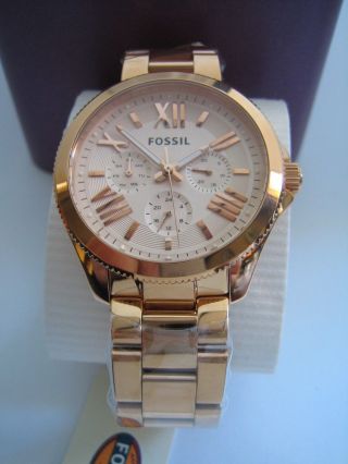 Fossil Womens Watch Cecile Am4511 Stainless Steel Rose Gold Bracelet Date Bnib