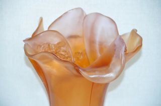 DAUM Camellia Amber Medium Vase Crystal Collectible Moyen Modele 03261 NIB 3