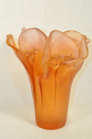 DAUM Camellia Amber Medium Vase Crystal Collectible Moyen Modele 03261 NIB 7