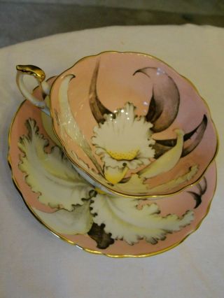 Vintage Paragon Large Orchid Pink Teacup And Saucer Cup