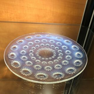 Rare Rene Lalique " Asters " Pattern Opalescent Glass Dish Model 10 - 3040,  1935
