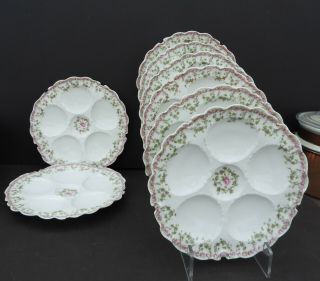 Rare Set Of 8 Antique Haviland Limoges Oyster Plates Pink Roses Green Ivy Swags