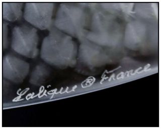 Lalique Studios Large Crystal Cygnes Swans Mirror Signed Sculpture Antique Art 5