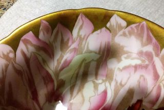 Rare Vintage Aynsley Pink Gold Butterfly Chysanthemum Flower Tea Cup & Saucer 12