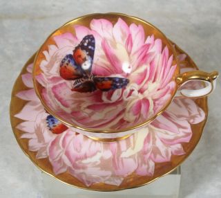 Rare Vintage Aynsley Pink Gold Butterfly Chysanthemum Flower Tea Cup & Saucer