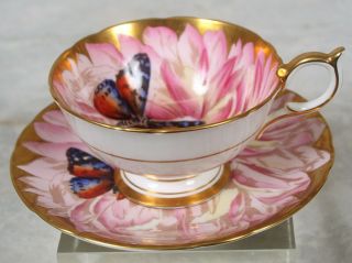 Rare Vintage Aynsley Pink Gold Butterfly Chysanthemum Flower Tea Cup & Saucer 2