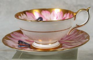Rare Vintage Aynsley Pink Gold Butterfly Chysanthemum Flower Tea Cup & Saucer 3
