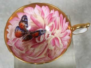 Rare Vintage Aynsley Pink Gold Butterfly Chysanthemum Flower Tea Cup & Saucer 5