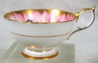 Rare Vintage Aynsley Pink Gold Butterfly Chysanthemum Flower Tea Cup & Saucer 6
