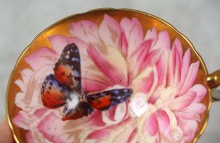 Rare Vintage Aynsley Pink Gold Butterfly Chysanthemum Flower Tea Cup & Saucer 8
