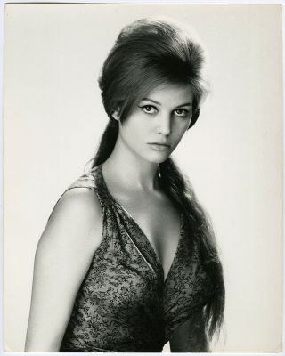 Vintage 1960s Alluring Hollywood Glamour Photograph Claudia Cardinale Large