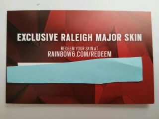Rainbow Six Siege Raleigh Major Skin