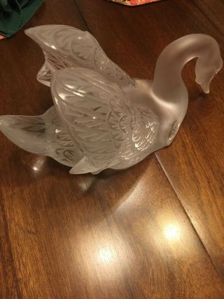 Lalique crystal,  head down swan,  signed.  rare piece of art. 4