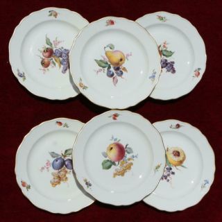 C.  1950s Set Of6 German Meissen Gilded Porcelain Botanical Fruit Plates 8.  7 " /22cm