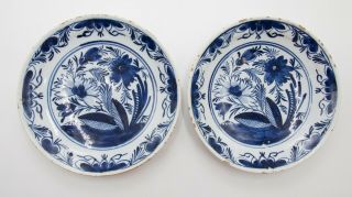 Pair Antique 18th Century Dutch Delft Floral Plates