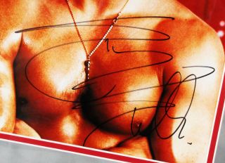 Sylvester Stallone & Talia Shire Signed Photo “Rocky” Display – JSA & PSA. 3