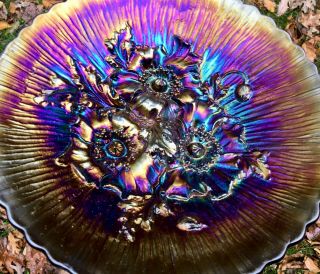 Carnival Magnificent Purple Northwood Poppy Show Plate “killer Iridescence”