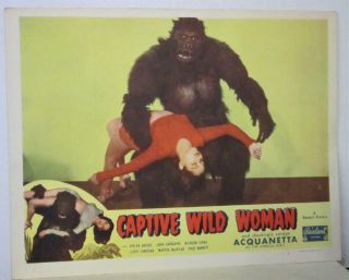 Set of 8 1948rr CAPTIVE WILD WOMAN Lobby Cards ACQUANETTA 3 Signed MILBURN STONE 3