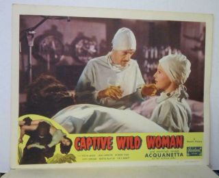 Set of 8 1948rr CAPTIVE WILD WOMAN Lobby Cards ACQUANETTA 3 Signed MILBURN STONE 4