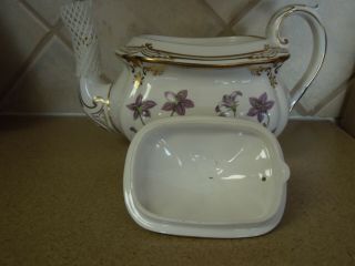 Spode ENGLAND STAFFORD FLOWERS (BONE) Tea Pot Y8519 - V Gold trim 6