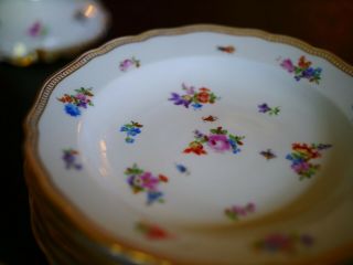 meissen porcelain tea set from Germany - 1815 - 1924 6