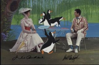Rare Mary Poppins Signed And Framed Sericel Julie Andrews Dick Van Dyke Disney