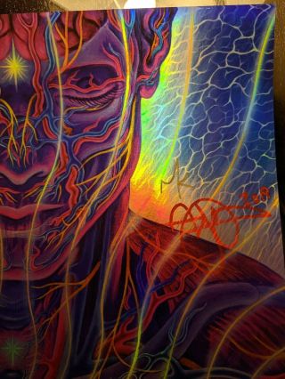 TOOL SIGNED Poster - Indianapolis 11/02/19 - Limited /650 - ALEX GREY 2
