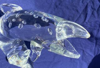Rare Steuben Glass Jumping Trout Large 9 